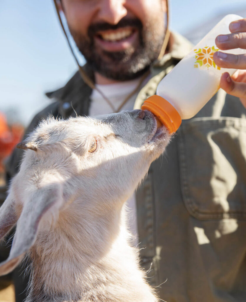 forcemilk